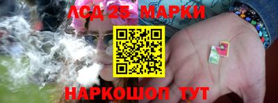 шишки Заволжье