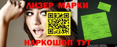 шишки Заволжье