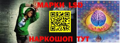 шишки Заволжье
