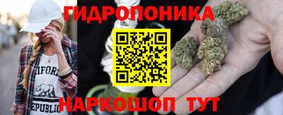 mix Заводоуковск
