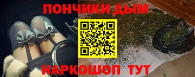 шишки Заволжье
