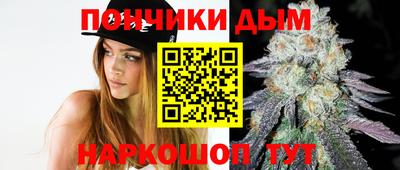 шишки Заволжье