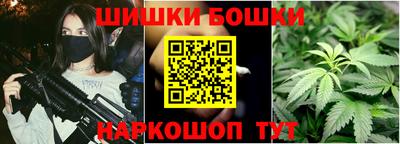 шишки Заволжье