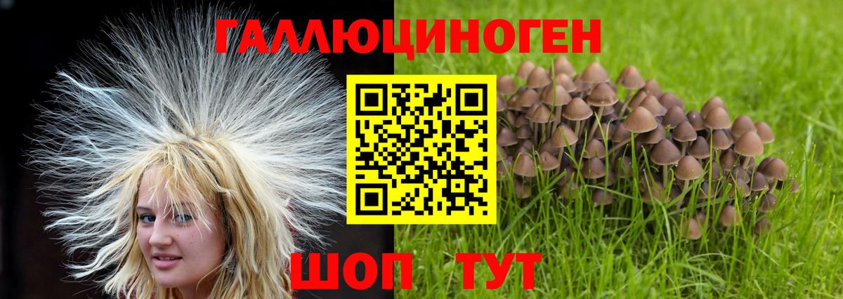 Псилоцибиновые грибы мицелий  Псилоцибиновые грибы Psilocybine cubensis  Североморск  Вход с VPN 